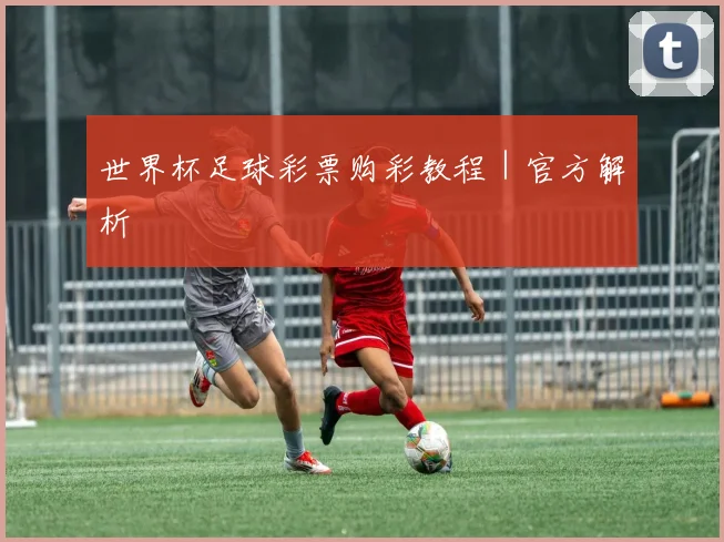 世界杯足球彩票购彩教程｜官方解析