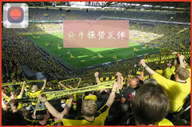 公牛强势反弹