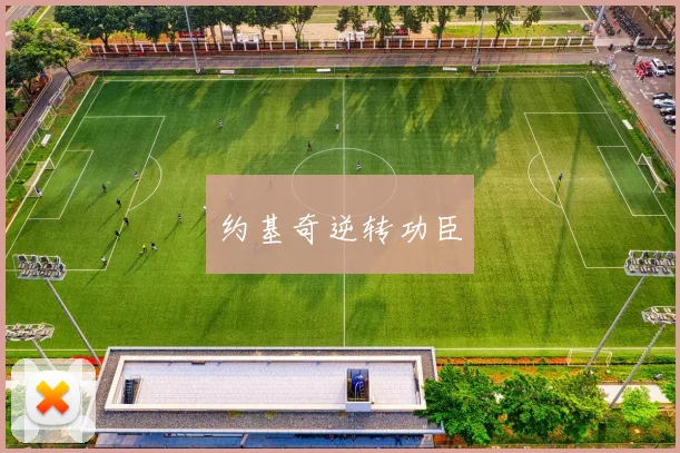 约基奇逆转功臣