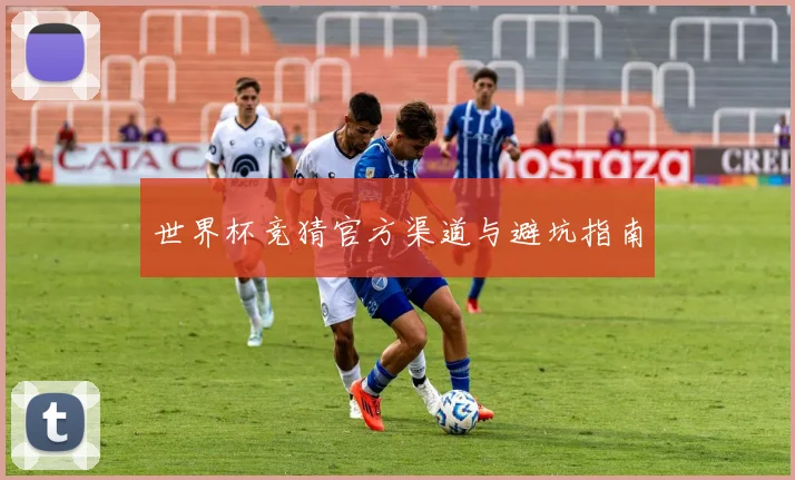世界杯竞猜官方渠道与避坑指南