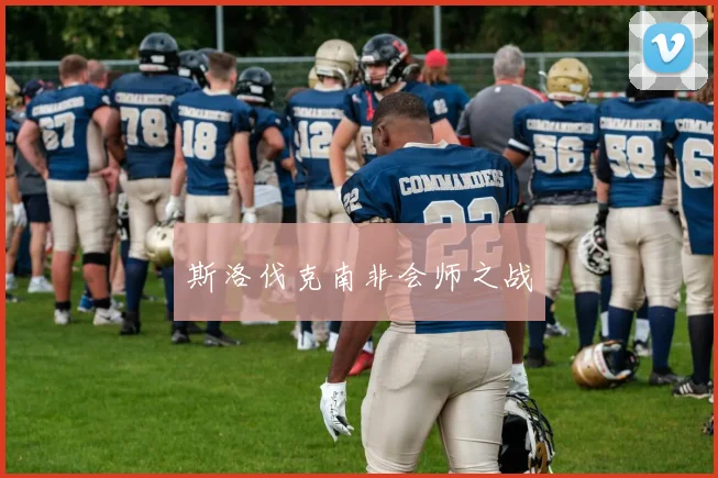 斯洛伐克南非会师之战