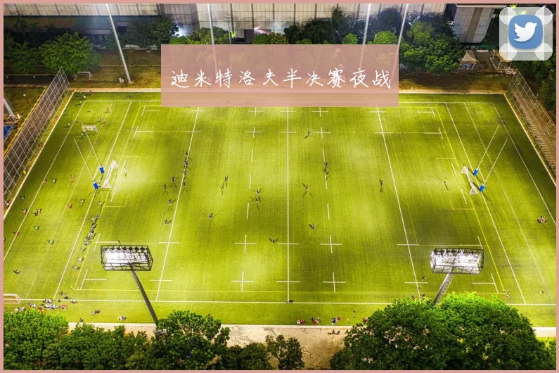 迪米特洛夫半决赛夜战