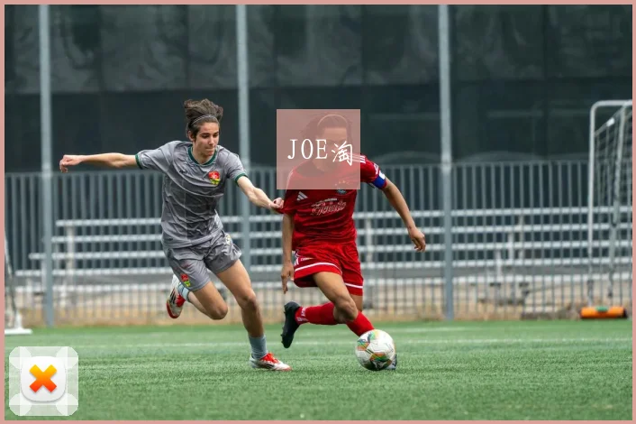 JOE淘