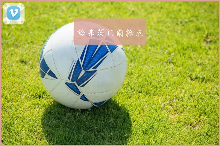 哈弗茨门前抢点