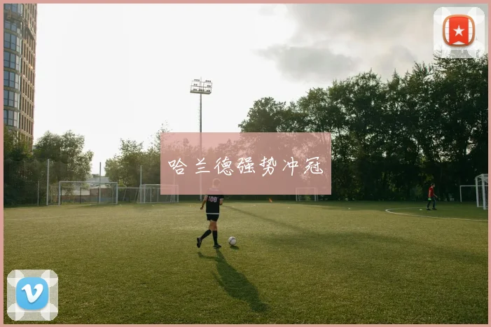 哈兰德强势冲冠