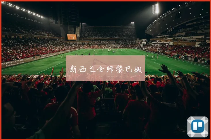 新西兰会师黎巴嫩