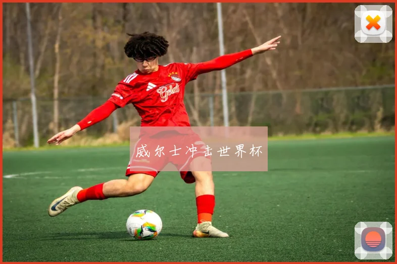 威尔士冲击世界杯
