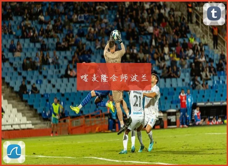喀麦隆会师波兰