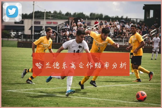 哈兰德乐高合作赔率分析