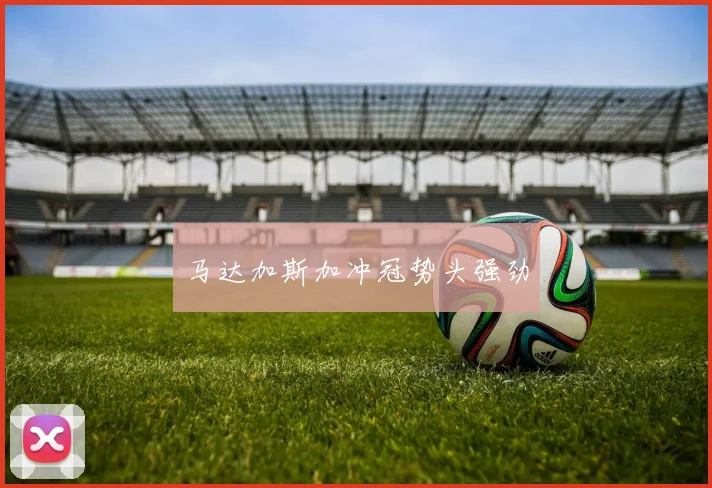 马达加斯加冲冠势头强劲