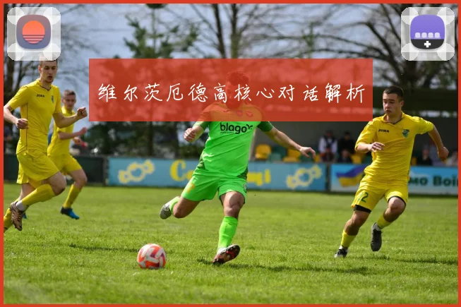 维尔茨厄德高核心对话解析