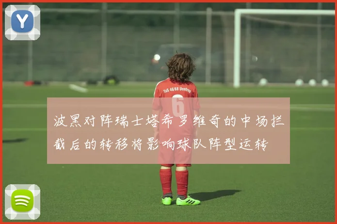 波黑对阵瑞士塔希罗维奇的中场拦截后的转移将影响球队阵型运转
