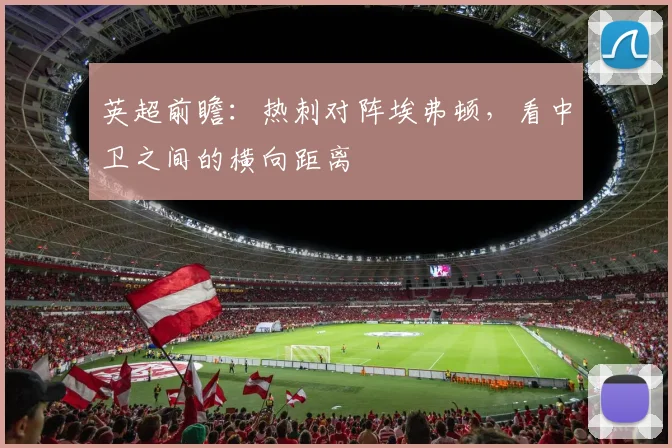 英超前瞻：热刺对阵埃弗顿，看中卫之间的横向距离