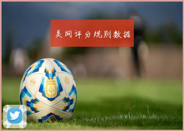 美网评分规则数据