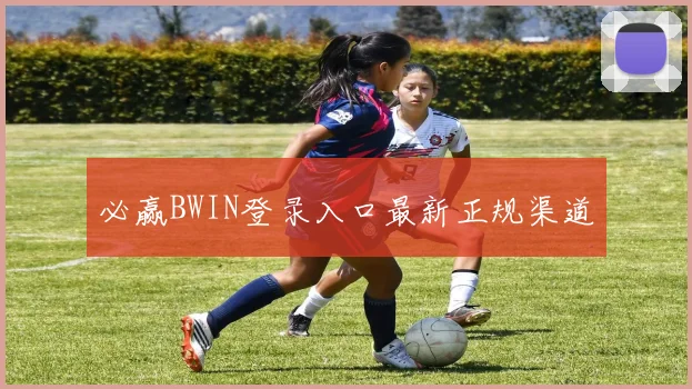 必赢BWIN登录入口最新正规渠道