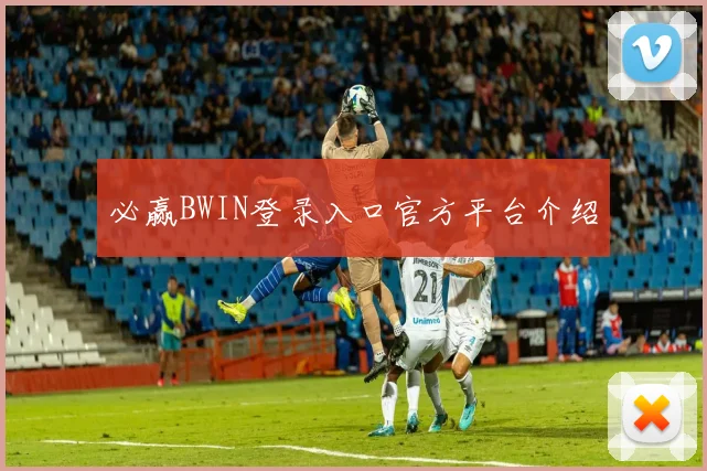 必赢BWIN登录入口官方平台介绍